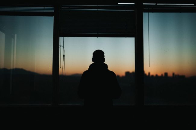 Dreams, hallucinations and daydreams