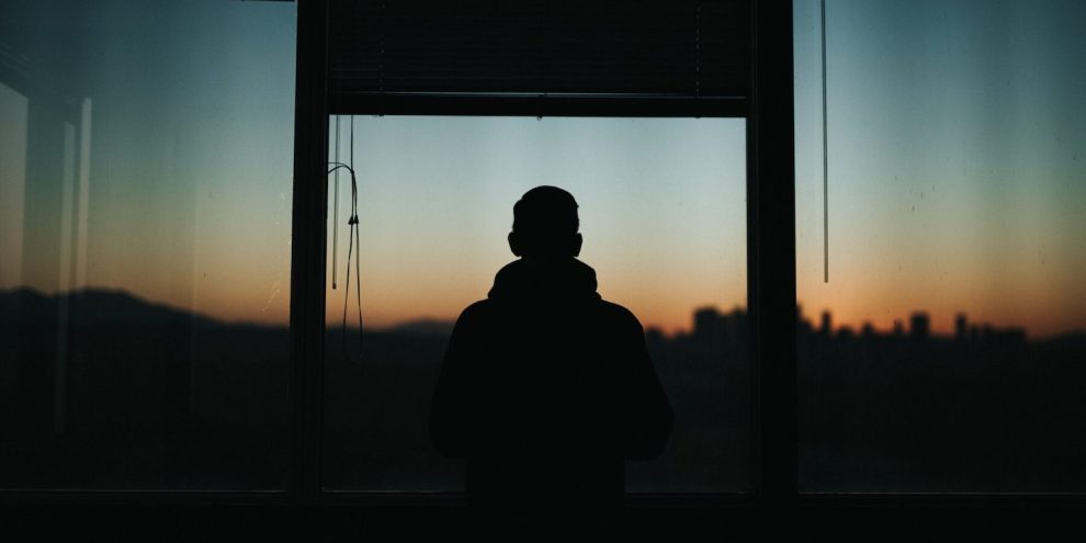 Dreams, hallucinations and daydreams